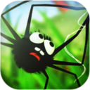 蜘蛛的冒险游戏v1.3.120